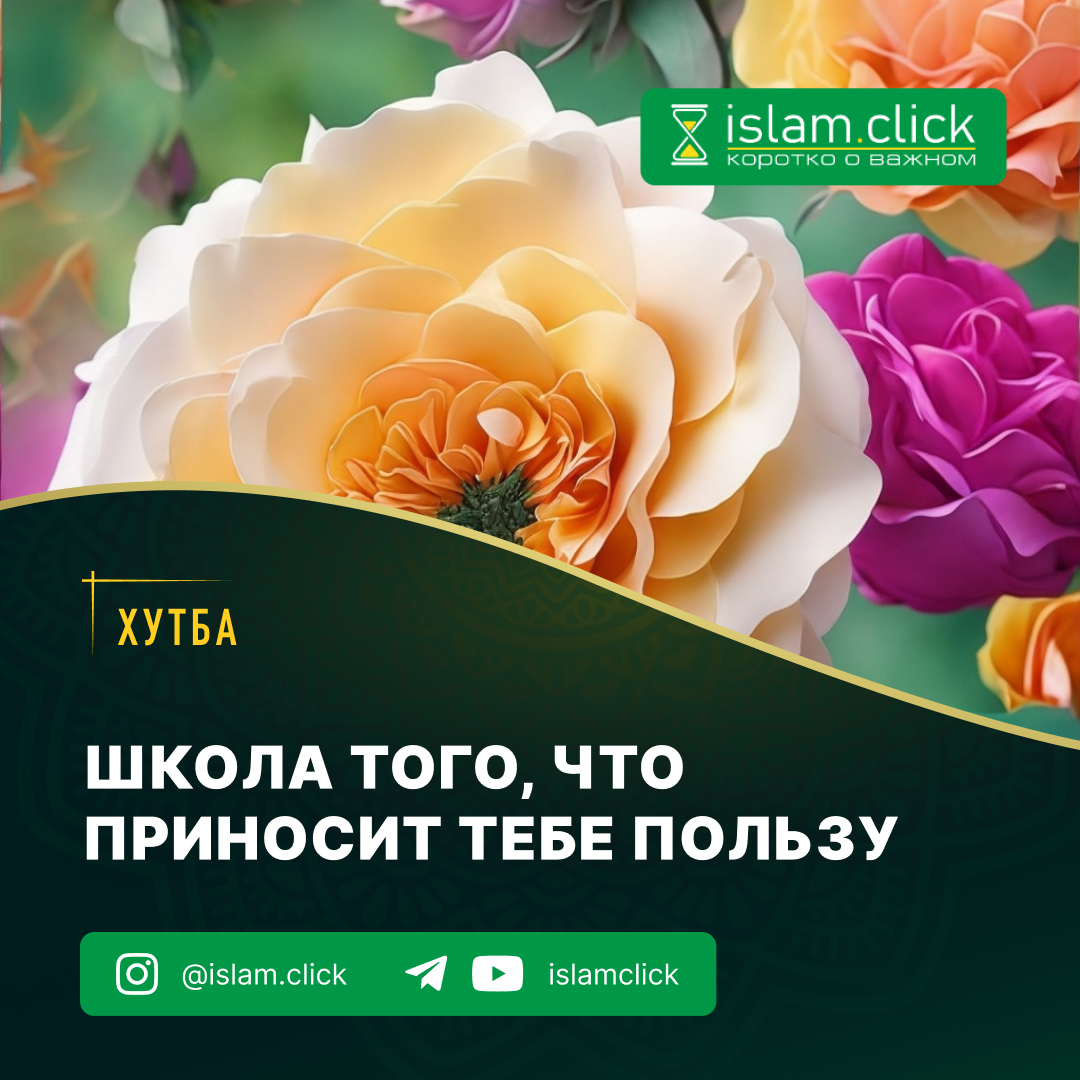 Школа того, что приносит тебе пользу - Islam.click